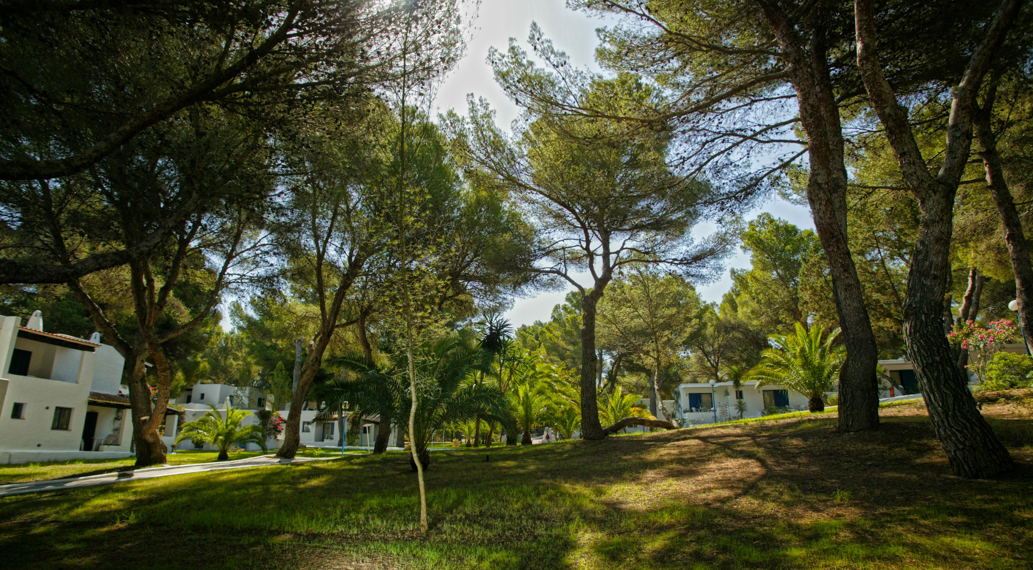 Insotel Club Maryland Playa Migjorn Kültér fotó